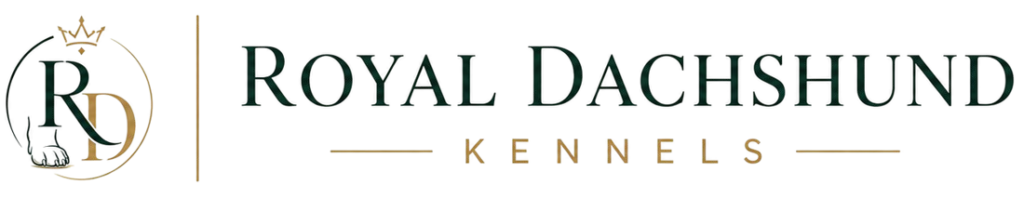 My Blog